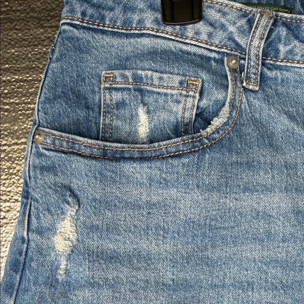 Wild Fable Light Blue Jean Shorts